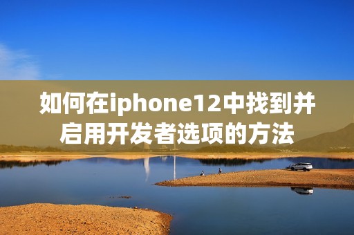 如何在iphone12中找到并启用开发者选项的方法