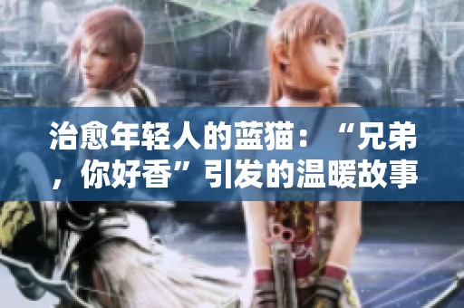 治愈年轻人的蓝猫：“兄弟，你好香”引发的温暖故事