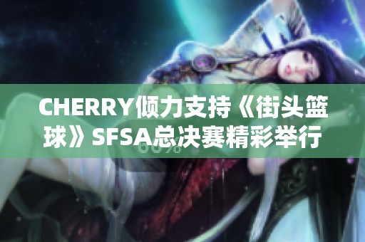CHERRY倾力支持《街头篮球》SFSA总决赛精彩举行
