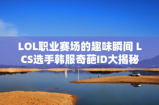 LOL职业赛场的趣味瞬间 LCS选手韩服奇葩ID大揭秘