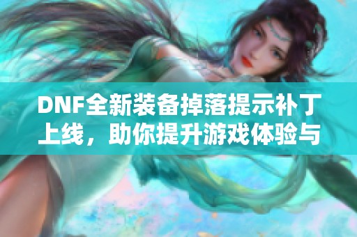 DNF全新装备掉落提示补丁上线，助你提升游戏体验与效率