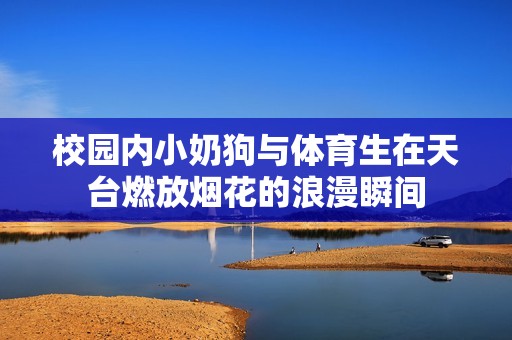 校园内小奶狗与体育生在天台燃放烟花的浪漫瞬间