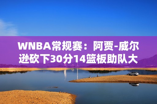 WNBA常规赛：阿贾-威尔逊砍下30分14篮板助队大胜天空