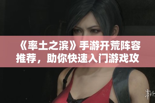 《率土之滨》手游开荒阵容推荐，助你快速入门游戏攻略