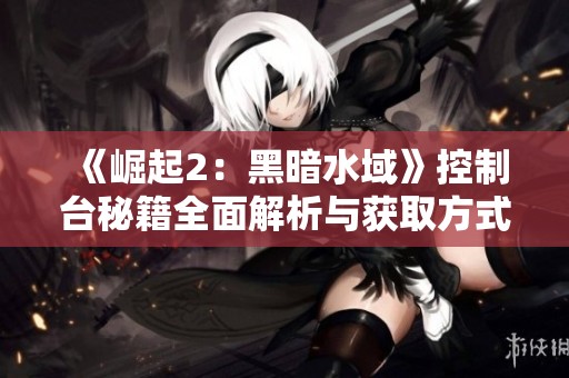 《崛起2：黑暗水域》控制台秘籍全面解析与获取方式