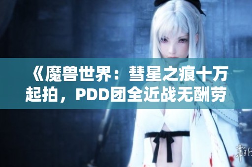 《魔兽世界：彗星之痕十万起拍，PDD团全近战无酬劳不买入》
