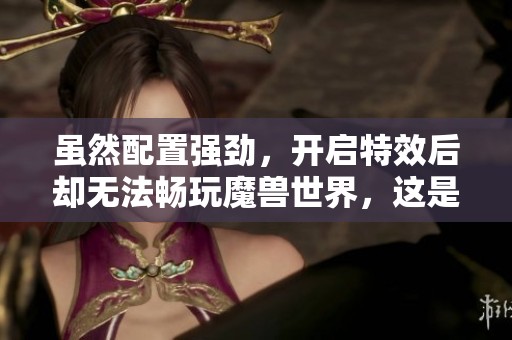 虽然配置强劲，开启特效后却无法畅玩魔兽世界，这是什么原因？