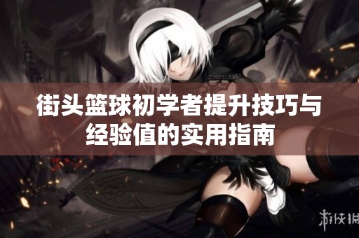 街头篮球初学者提升技巧与经验值的实用指南
