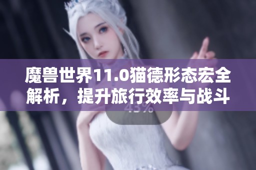 魔兽世界11.0猫德形态宏全解析，提升旅行效率与战斗体验